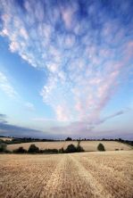 through rose tinted skies.jpg